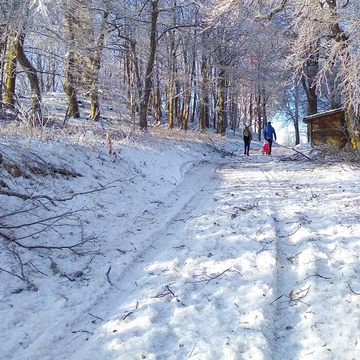 Zima gorjanci VisitDolenjska